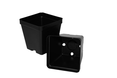 SVD 350 Black - 450 per case - Square Pots